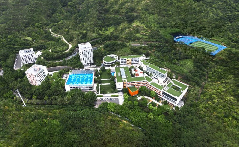 笑死！蛇贝广贝互掐多年，马斯克一个赞，惠贝轻松当大哥？