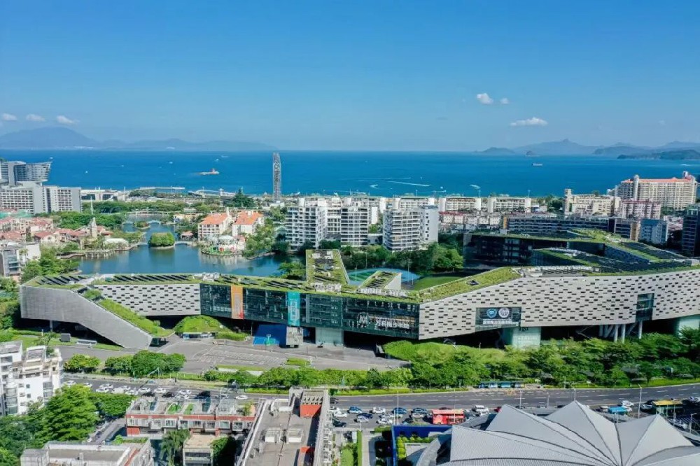 百万奖学金！大湾区这些国际学校，中考后转轨太香了
