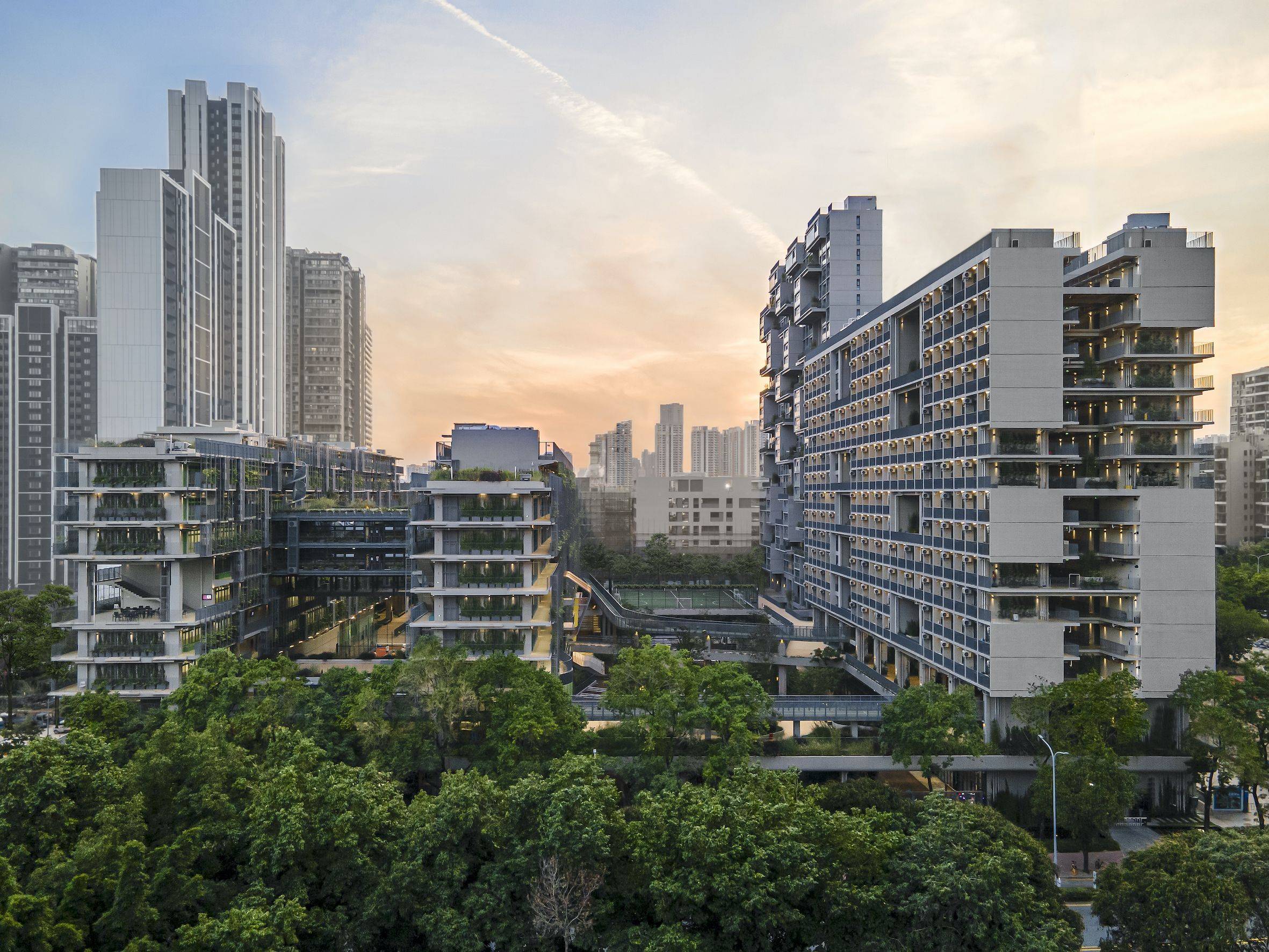 深圳排名前十的国际学校有哪些办学情况？