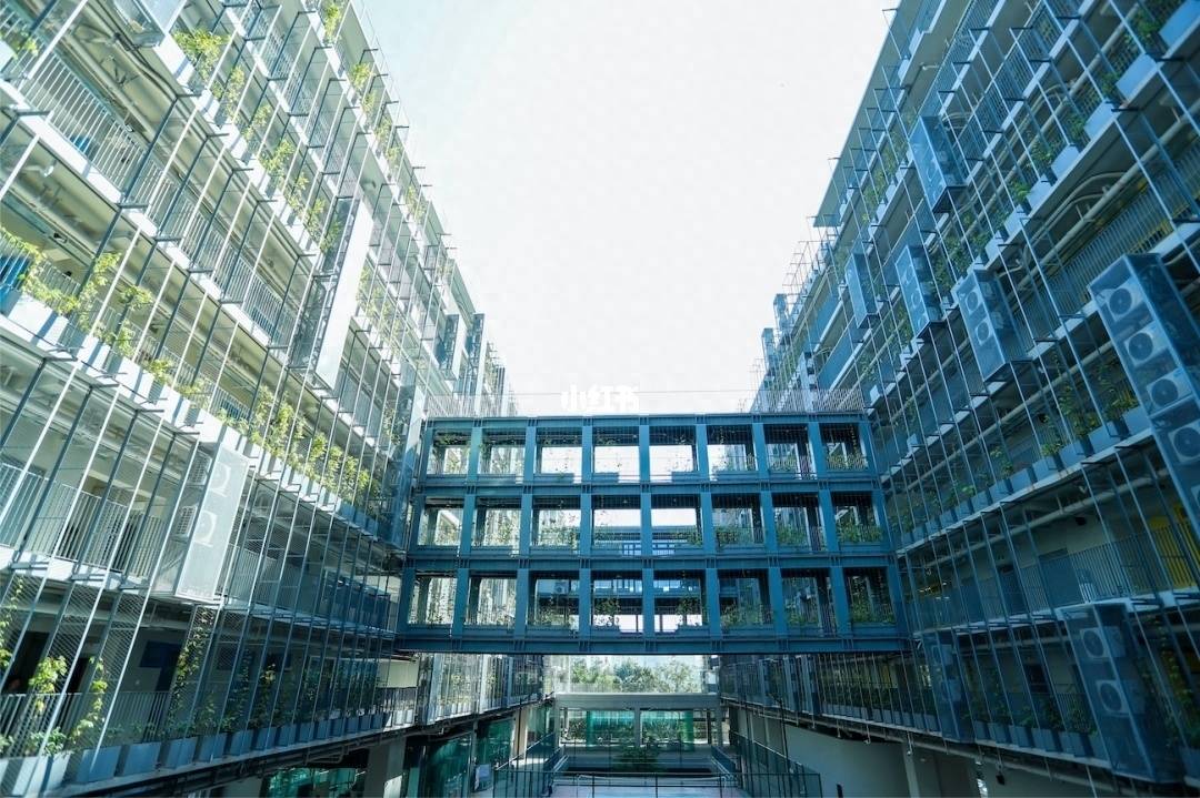 2023年想要读国际高中，深圳不少意向